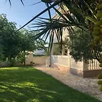 Olive Grove In Kroatien Direkt Am Nahe Zadar Und Nin Privlaka (Zadar)
