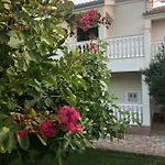 Olive Grove In Kroatien Direkt Am Nahe Zadar Und Nin * Privlaka (Zadar)