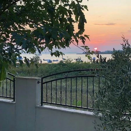 Olive Grove In Kroatien Direkt Am Nahe Zadar Und Nin Willa *