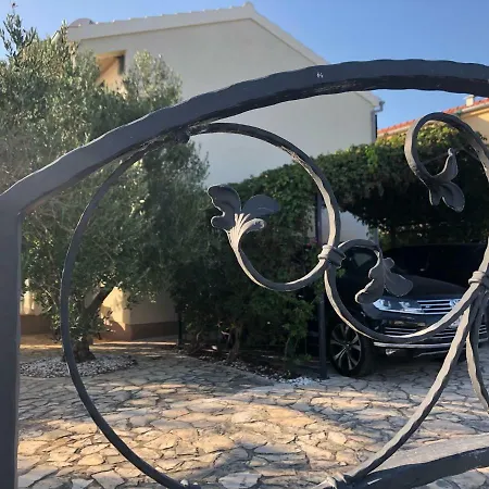 Olive Grove In Kroatien Direkt Am Nahe Zadar Und Nin Willa Privlaka (Zadar)