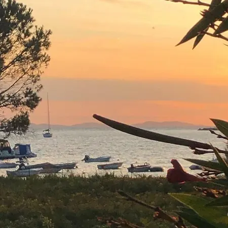 Willa Olive Grove In Kroatien Direkt Am Nahe Zadar Und Nin Privlaka (Zadar)