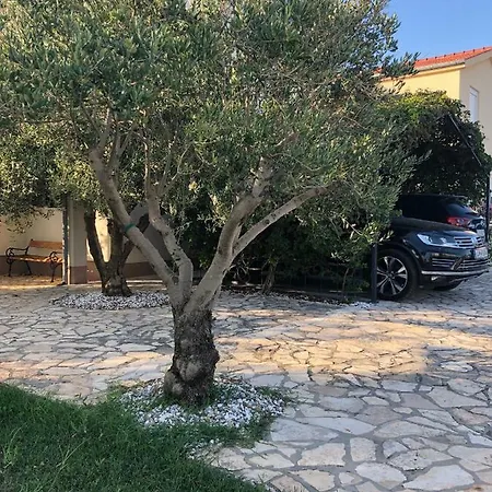 Olive Grove In Kroatien Direkt Am Nahe Zadar Und Nin 빌라
