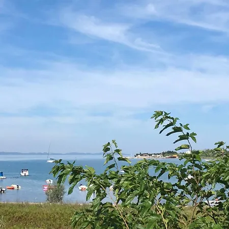 빌라 Olive Grove In Kroatien Direkt Am Nahe Zadar Und Nin *