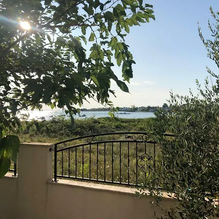 Olive Grove In Kroatien Direkt Am Nahe Zadar Und Nin Villa