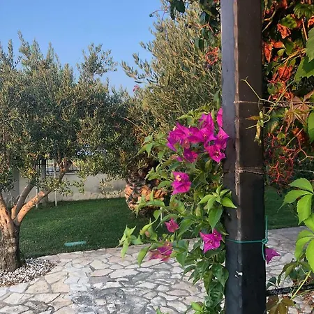 Villa Olive Grove In Kroatien Direkt Am Nahe Zadar Und Nin *