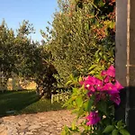 Olive Grove In Kroatien Direkt Am Nahe Zadar Und Nin Villa Privlaka (Zadar)