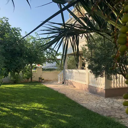 Olive Grove In Kroatien Direkt Am Nahe Zadar Und Nin Privlaka (Zadar)