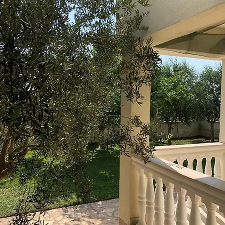 别墅 Olive Grove In Kroatien Direkt Am Nahe Zadar Und Nin 普利拉卡
