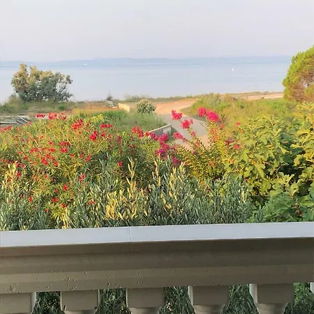 Olive Grove In Kroatien Direkt Am Nahe Zadar Und Nin * 普利拉卡