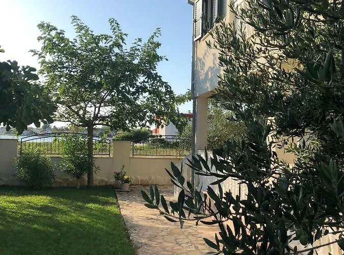 Olive Grove In Kroatien Direkt Am Nahe Zadar Und Nin Vila *