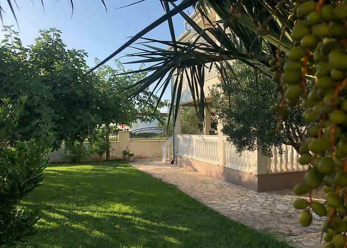 Olive Grove In Kroatien Direkt Am Nahe Zadar Und Nin Privlaka (Zadar)
