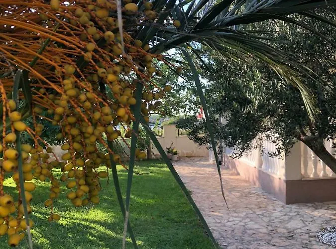 Olive Grove In Kroatien Direkt Am Nahe Zadar Und Nin 빌라 프리블라카