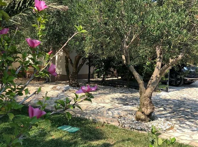 Olive Grove In Kroatien Direkt Am Nahe Zadar Und Nin 프리블라카