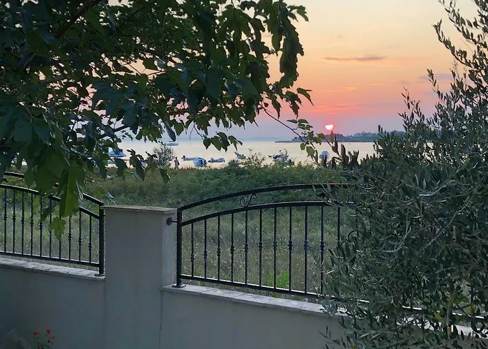 Olive Grove In Kroatien Direkt Am Nahe Zadar Und Nin Vila *