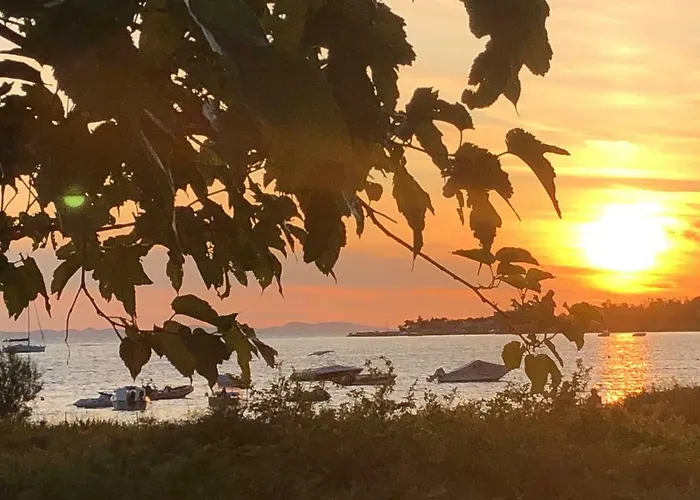 Olive Grove In Kroatien Direkt Am Nahe Zadar Und Nin 빌라 *