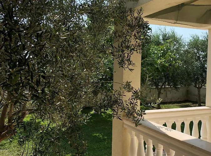 빌라 Olive Grove In Kroatien Direkt Am Nahe Zadar Und Nin 프리블라카