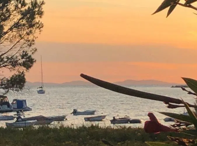 빌라 Olive Grove In Kroatien Direkt Am Nahe Zadar Und Nin 프리블라카