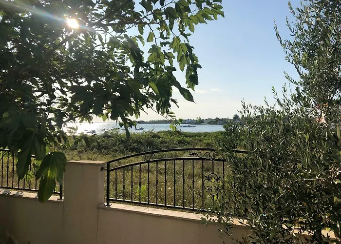 Olive Grove In Kroatien Direkt Am Nahe Zadar Und Nin 빌라