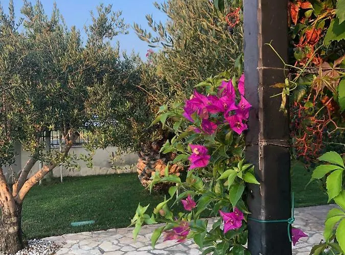 Vila Olive Grove In Kroatien Direkt Am Nahe Zadar Und Nin *